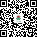 瀏覽網(wǎng)站 瀏覽網(wǎng)站